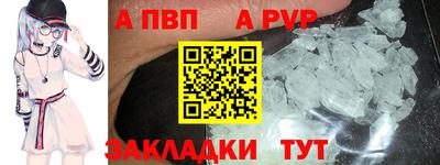 спайс Кингисепп