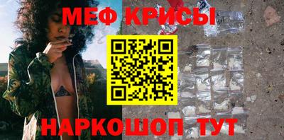 спайс Кингисепп