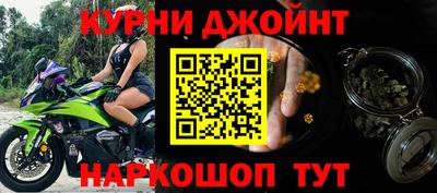 спайс Кингисепп