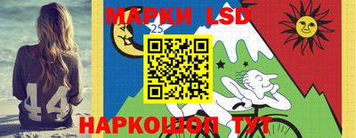 спайс Кингисепп