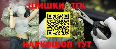 спайс Кингисепп