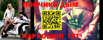 спайс Кингисепп