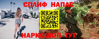 спайс Кингисепп