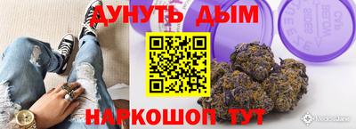 спайс Кингисепп