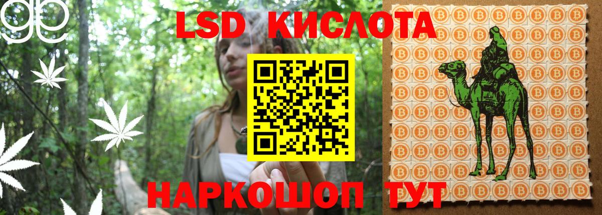 Марки N-bome 1,8мг  купить наркотик  Марки N-bome 1,8мг  Котлас  Вход с VPN 